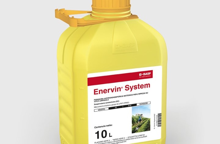BASF lancia Enervin System per la gestione efficace della peronospora