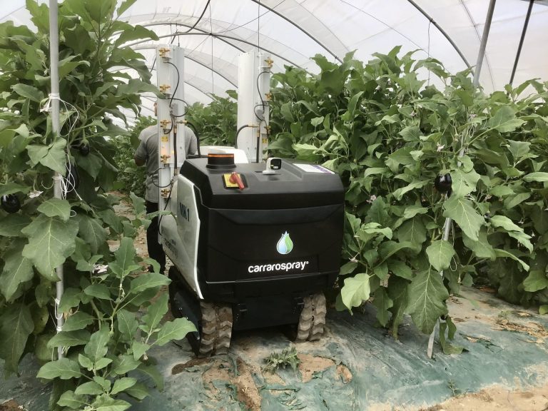 Agroalimentare veneto, progetti innovativi per 7,5 milioni