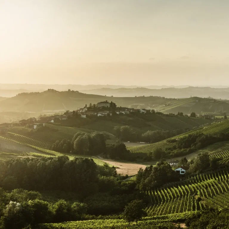 Angelo Gaja inaugura l’anno dell’Accademia Italiana della Vite e del Vino