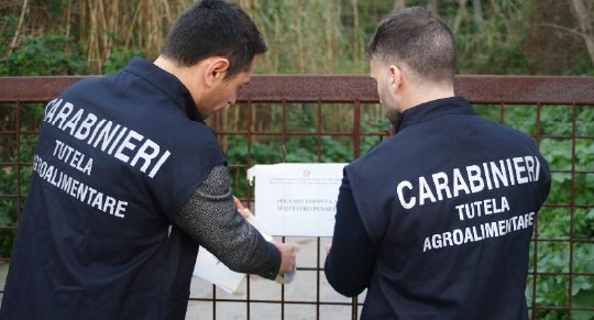 Frode in agricoltura ai danni dell’Unione Europa. Carabinieri e Procura Repubblica confiscano beni per 45 mila euro a Caltanissetta