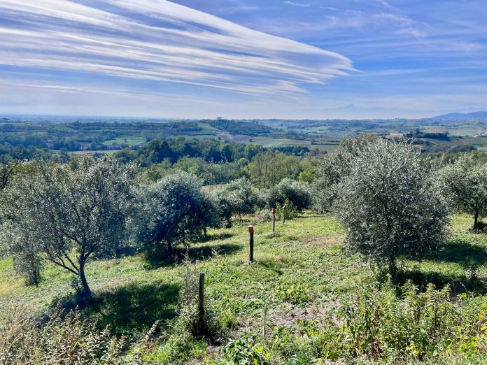 Piemonte