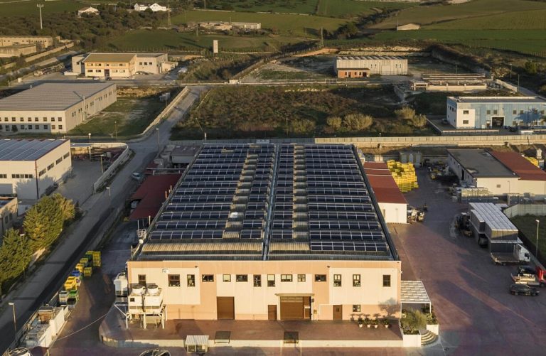 Il ciliegino Agromonte celebra un quarto di secolo