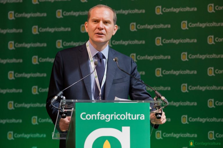 Vino, Confagricoltura: Nel Pacchetto UE necessaria anche più flessibilità finanziaria su risorse OCM