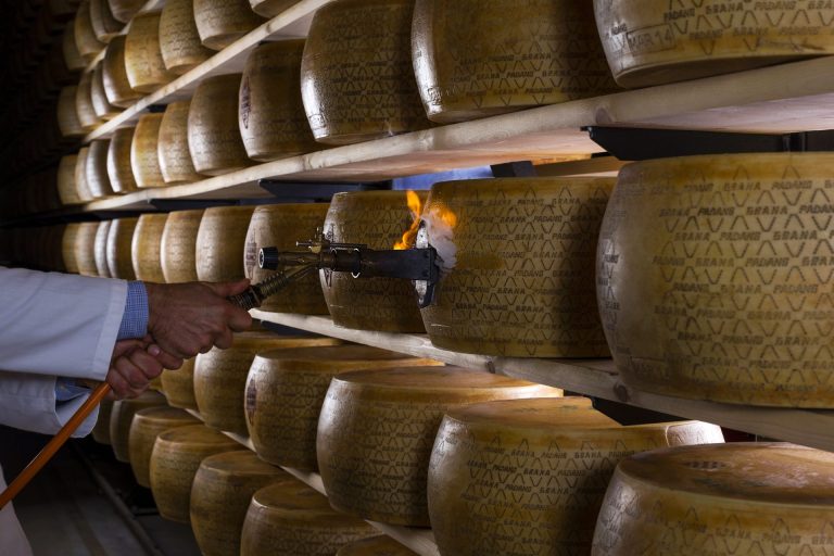 Il Grana Padano continua a crescere all’estero: nel 2024 esportate 2.685.541 forme