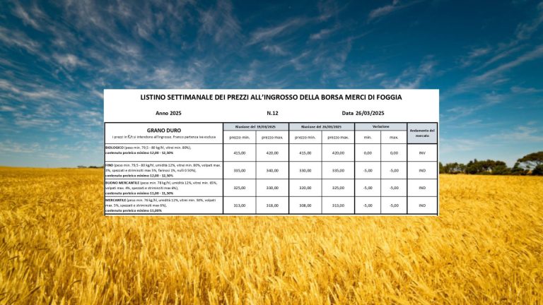 Grano duro: continua il calo (-5 euro) a Borsa Merci Foggia (26 marzo). Il Fino scende a 330/335 euro a tonnellata