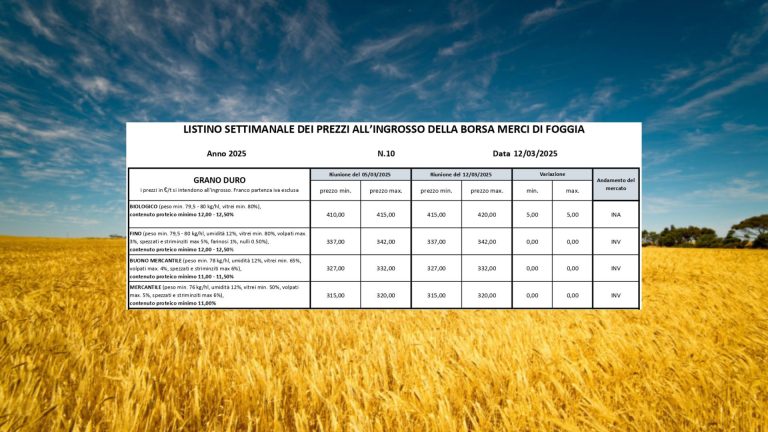 Grano duro: valori stabili a Borsa Merci Foggia (12 marzo) il Fino resta a 337-342 euro/t. Cresce il biologico a quota 420 euro