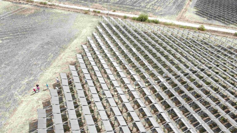 Il primo vigneto agrivoltaico in Puglia presentato al Vinitaly