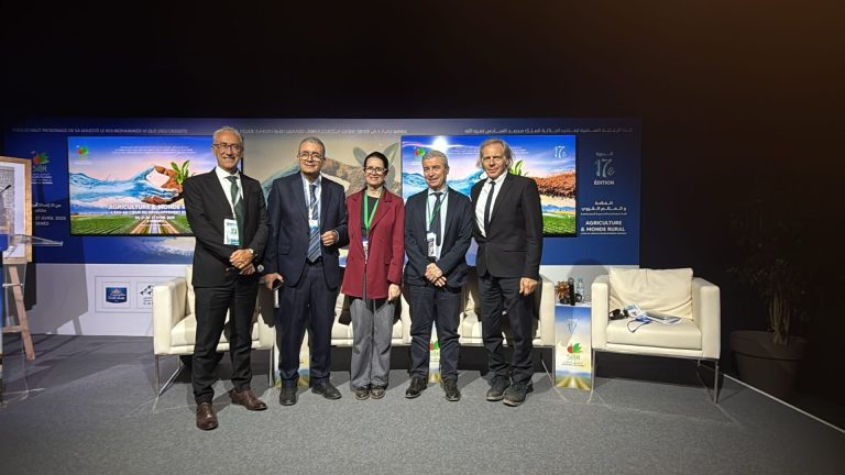 Meccanica agricola: cresce la cooperazione fra Marocco e Italia