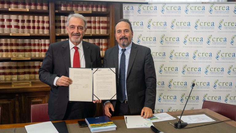 Accordo quadro tra il CREA e la Regione Lazio  per lo sviluppo integrato delle aree rurali e delle filiere produttive regionali