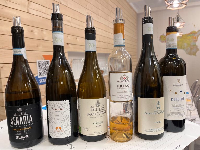 Grillo, un vino versatile straordinario interprete della Sicilia e dei suoi territori