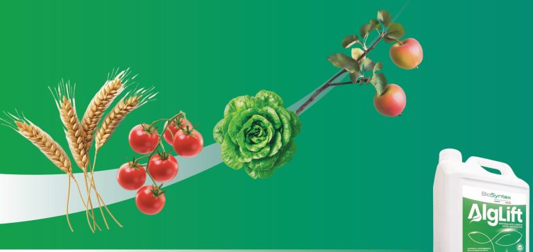 Innovativo prodotto nel mercato biostimolanti: Biosyntex presenta AlgLift a Macfrut