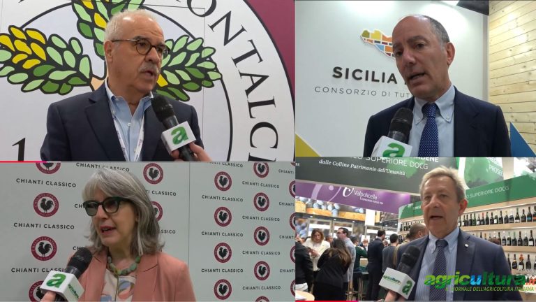 Dazi Usa. Consorzi (Brunello, Conegliano Valdobbiadene, Chianti Classico, Sicilia) sono convinti: i consumatori americani non tradiranno il vino italiano