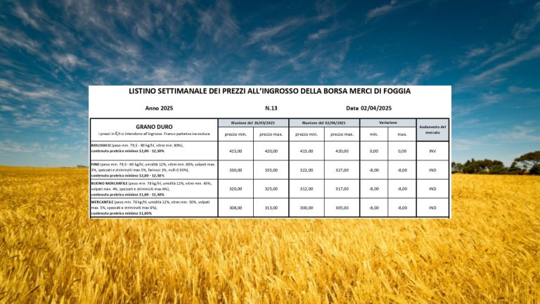 Grano duro: quotazioni a picco (-8 euro/t) a Borsa Merci Foggia (2 aprile): vale 322-327 euro/t. Persi 13 euro in due settimane