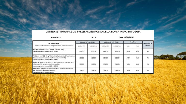 Grano duro, quotazioni invariate a Borsa Merci Foggia (16 aprile): il Fino stabile a 315-320 euro/t. dopo tre settimane di calo