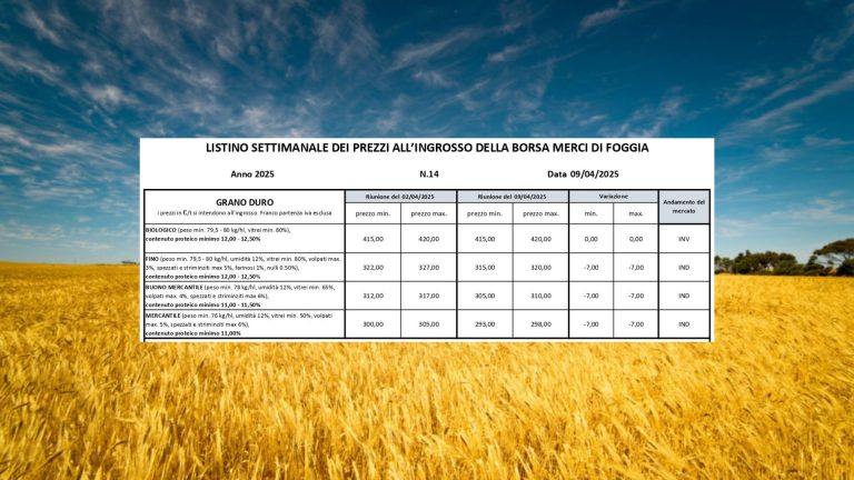 Il grano duro perde 1 euro al giorno da tre settimane. Quotazioni a picco (-7 euro/t.) a Borsa Merci Foggia (9 aprile): il Fino vale 315-320