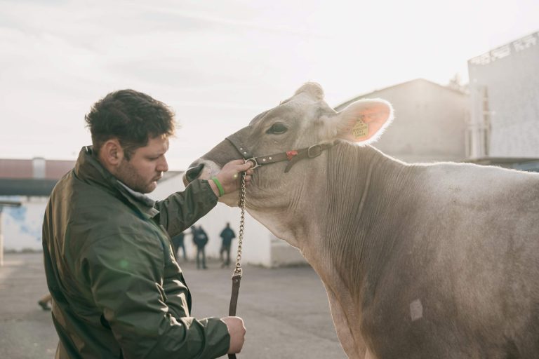 Fieragricola edizione 117, dal 4 al 7 febbraio 2026. Al via i roadshow