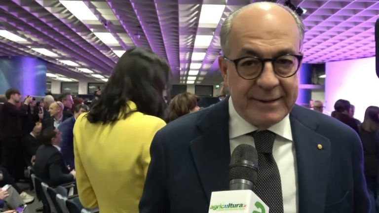 Dazi, De Castro a Vinitaly: Negoziato Usa-Europa utile anche a Trump per non tassare aziende americane