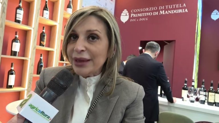 Vinitaly. Dazi, Novella Pastorelli: Gli americani continueranno a consumare il Primitivo di Manduria, perché riconoscono sua eccellenza