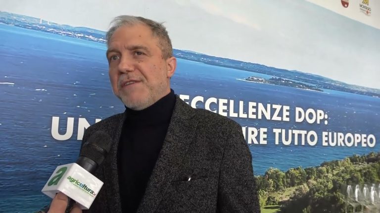 Garda Doc brinda al Vinitaly con il Bianco. Consorzio che fa sistema e produce 20 milioni di bottiglie