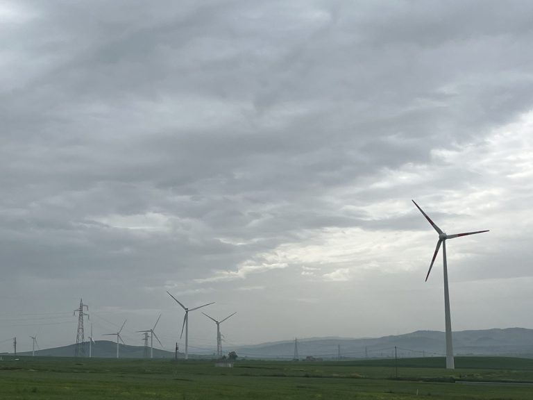 Energia rinnovabile e tutela del suolo: le proposte di Cia Puglia alla Regione