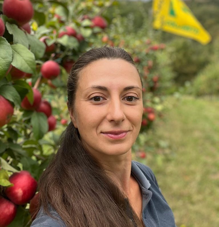 Nell’aretino in Toscana è emergenza frutteti: in 10 anni -50%