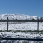 Gelate in Turchia