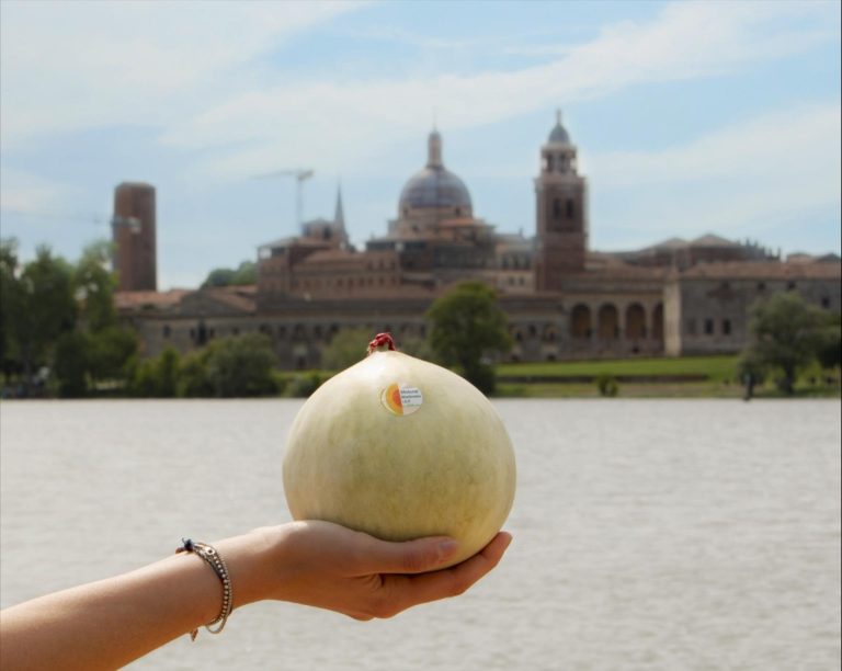 A luglio a Mantova il Simposio del Melone Mantovano IGP