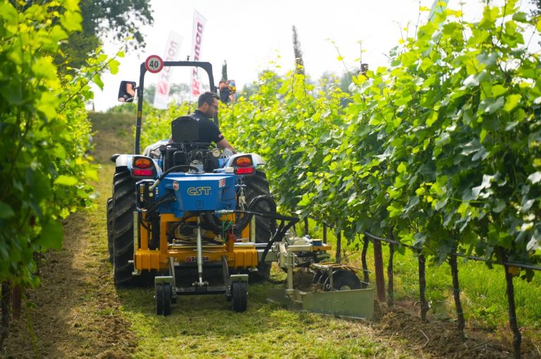 Viticoltura, UIV: Export 2024 macchinari agricoli in frenata (-25%)