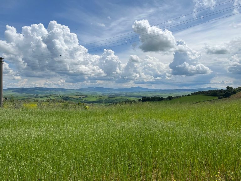 Il paesaggio e la bellezza delle città: passeggiata per l’Italia 2025. Il 22 maggio a Bologna