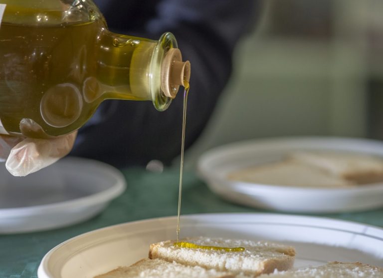 Olio d’oliva: campagna complicata, ma l’industria resiste “Più tracciabilità e valorizzazione del prodotto”