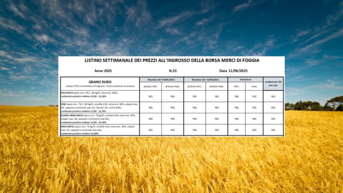 Grano duro