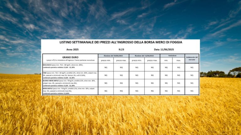 Grano duro