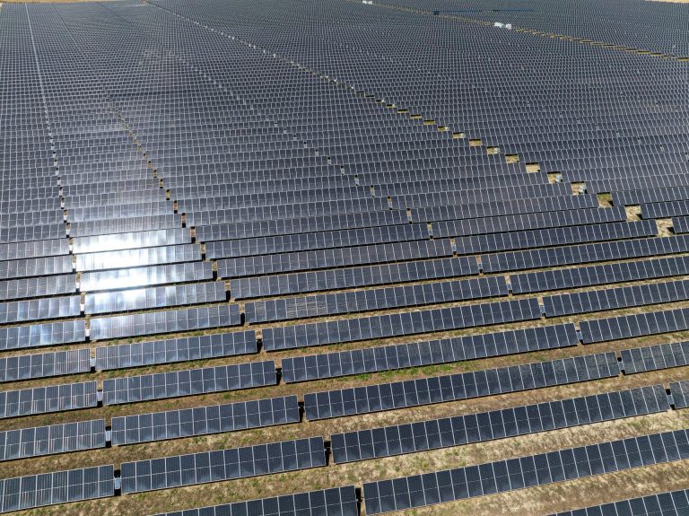 Agricoltura 4.0 e fotovoltaico avanzato. Nasce partnership tra Plantvoice e iGreen System