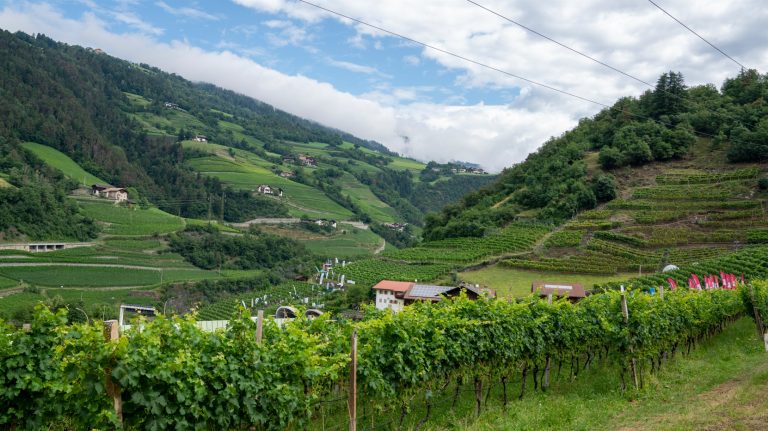 Enovitis Extreme arriva in Trentino il 18 luglio