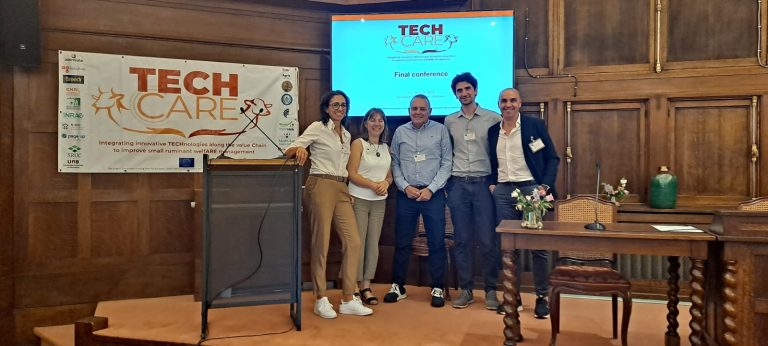 Agnello di Sardegna Igp: il Consorzio porta il benessere animale in Europa con il progetto Tech Care