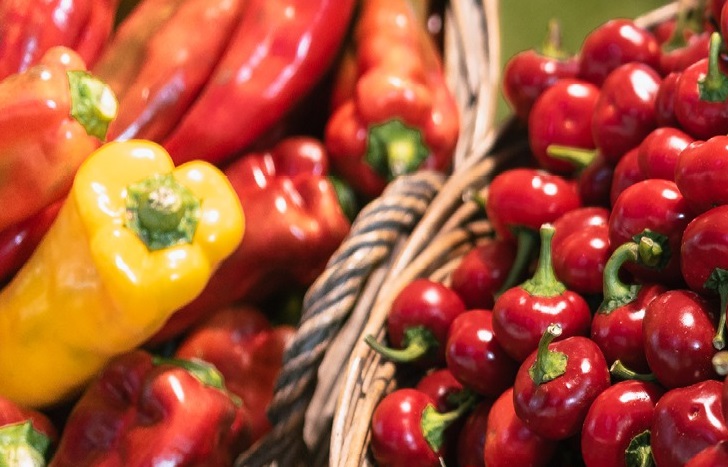 Fiera del Peperone, 76esima edizione a Carmagnola. Chef stellati, imprenditori e giornalisti raccontano il gusto e il territorio