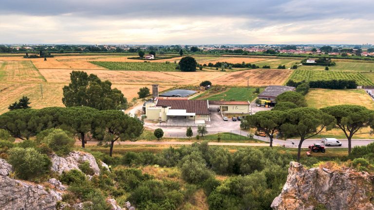 Il Frantoio del Monte Pisano cresce con l’azionariato popolare. Parte la campagna di equity crowdfunding