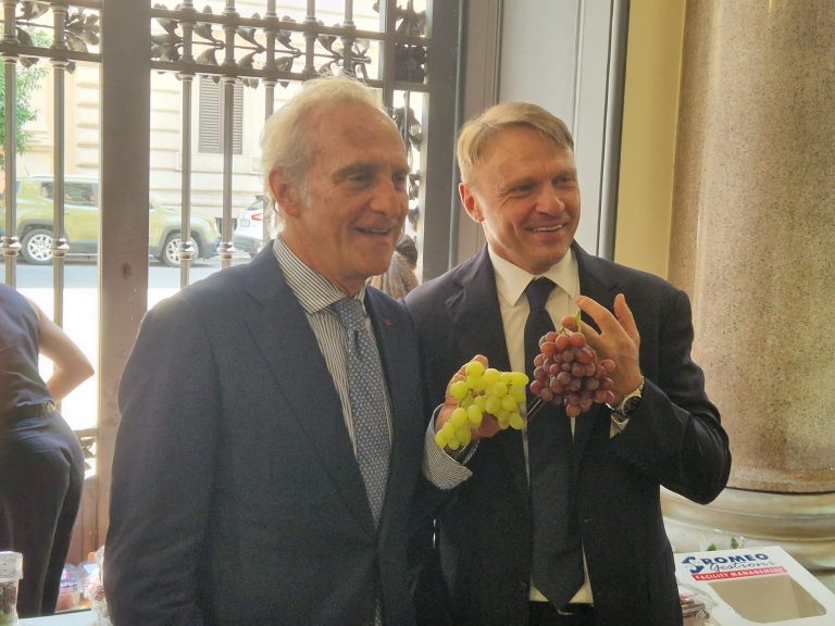 Ortofrutta. Crescono le esportazioni italiane nel primo quadrimestre 2025 (+7,3% in volume e +13,3% in valore)