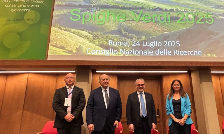 Assegnate le Spighe Verdi 2025: sono 90 i comuni rurali virtuosi