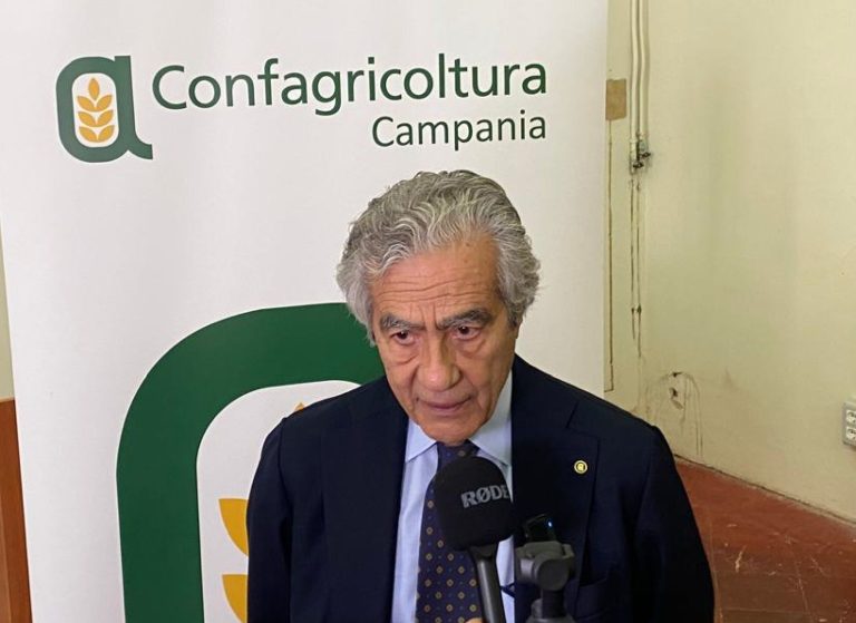 Mozzarella, Confagricoltura Campania: La filiera DOP si tutela con latte fresco e massima trasparenza
