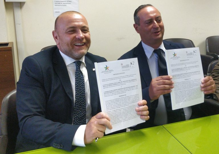 Promozione misure PNRR. Firmato protocollo d’intesa fra Conaf e Unità missione Mase