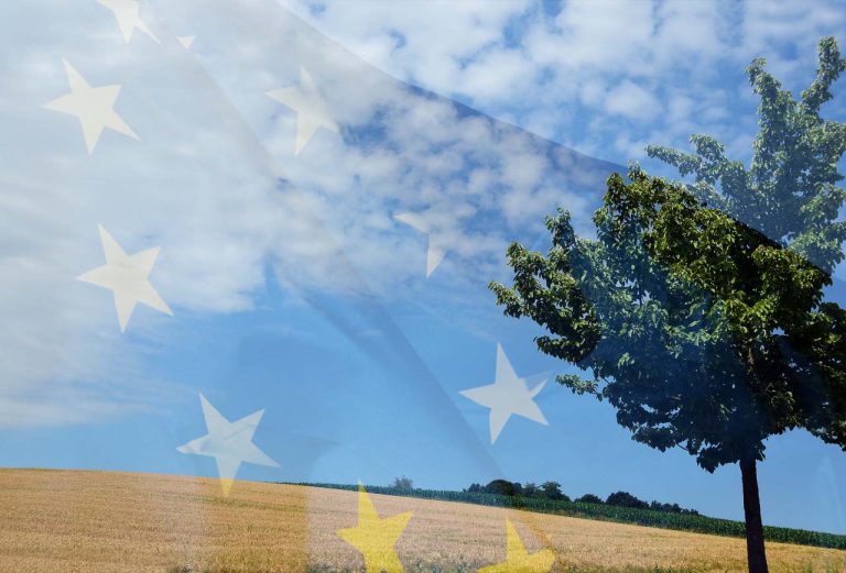 PAC. Copagri: Luci e ombre in pacchetto semplificazioni Commissione UE; per il post 2027 serve ben altro