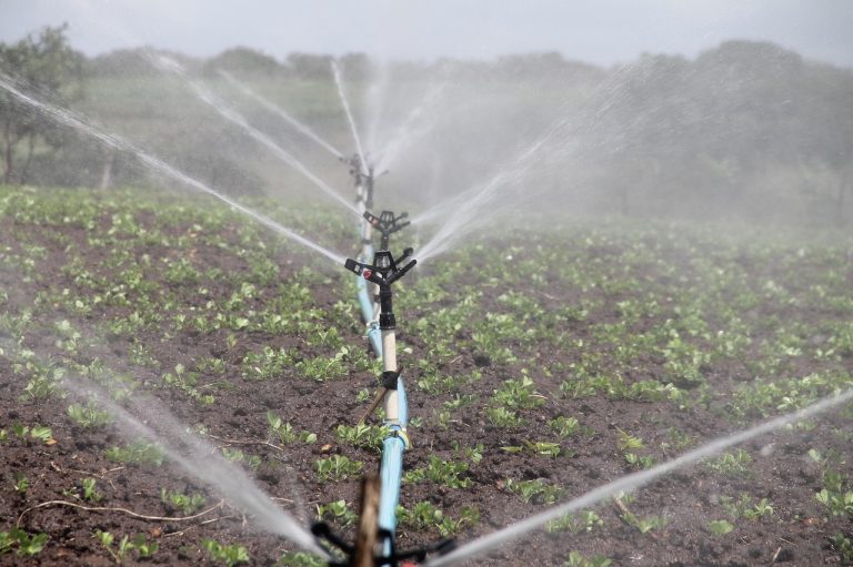 Sardegna, risorsa idrica chiave anti spopolamento. Coldiretti Cagliari: Subito revisione piano bonifica e tavolo permanente sull’acqua