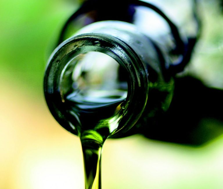 Olio d’oliva, mercato mondiale sotto pressione (secondo trimestre) fra dazi Usa e cambi sfavorevoli. Produzione Italia a -25%