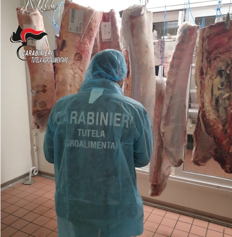 Controlli. Sequestrati 2mila chili di carne estera spacciata per italiana, Lollobrigida: Difendiamo le nostre filiere