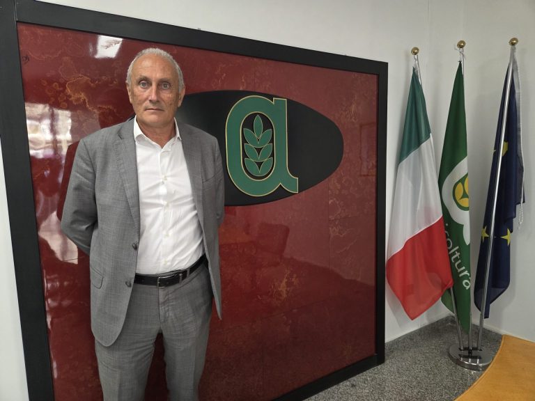 Puglia, Bruno (Confagricoltura): Xylella, i ritardi dell’ARIF mettono a rischio i vigneti