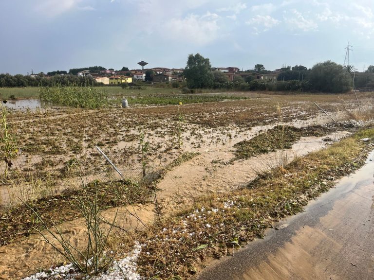 Maltempo in Sardegna, aziende agricole colpite. Coldiretti: subito risorse per danni subiti