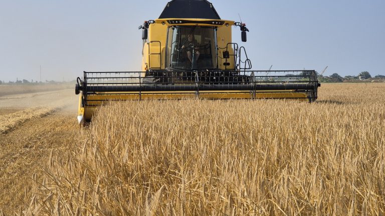 Grano duro: importazioni Italia ancora in aumento (+9%) nella prima metà del 2025. Arrivato 1 milione e 475mila tonnellate, ma cala il valore