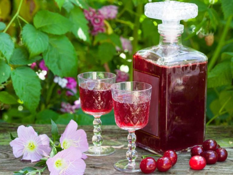 Ratafia Ciociara IG, la bevanda spiritosa entra nel registro UE