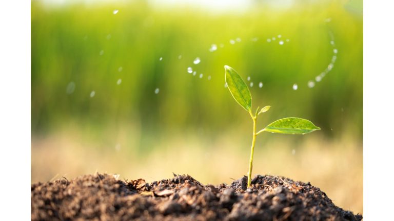 Biostimolanti: una frontiera per un’agricoltura più efficiente e sostenibile